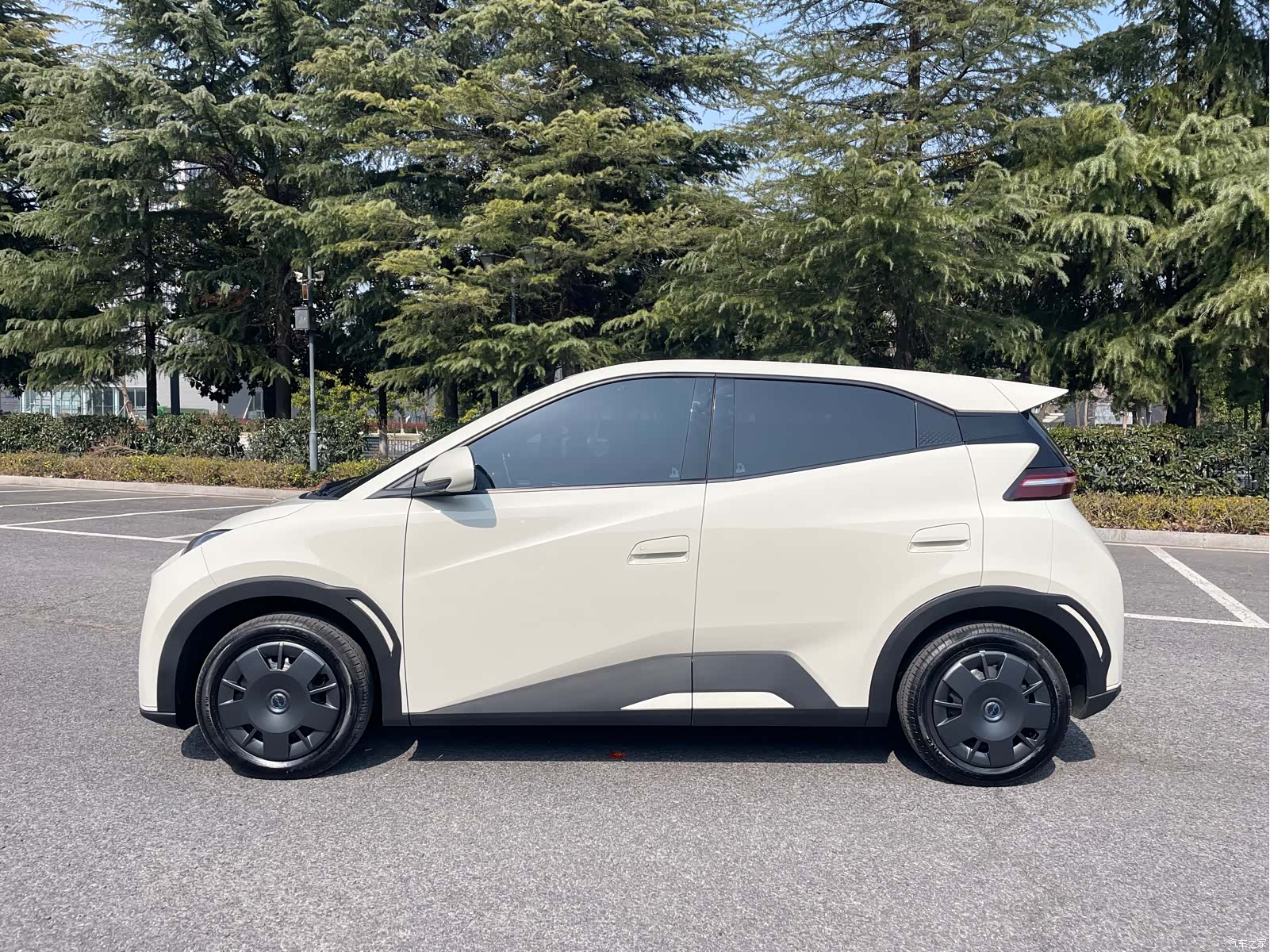 BYD Seagull, 2025 все фото