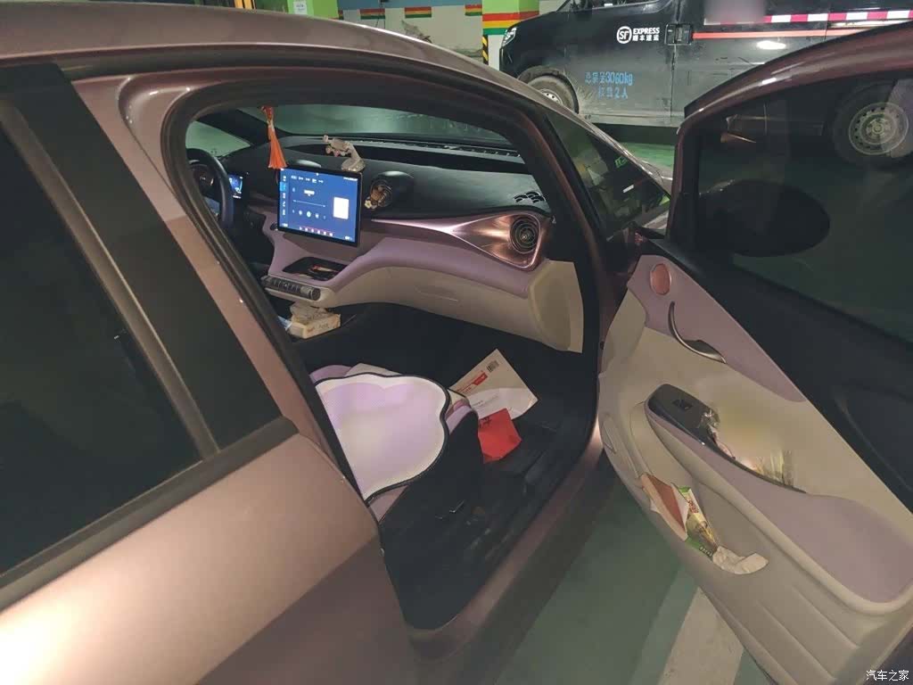 BYD Dolphin, 2023 20
