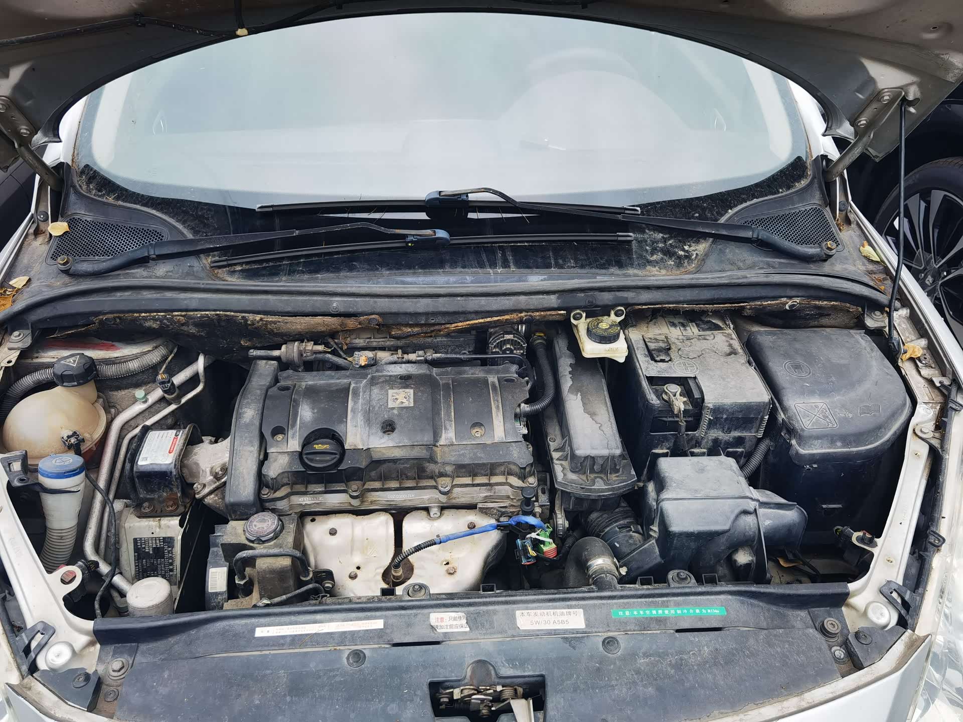 Peugeot 307, 2013 7