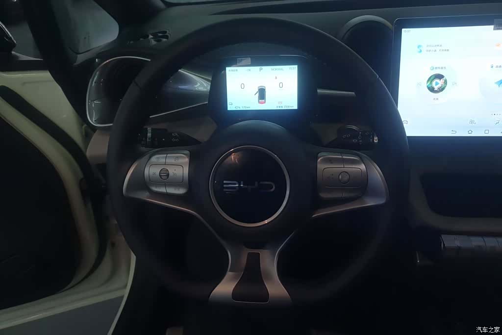 BYD Dolphin, 2026 15