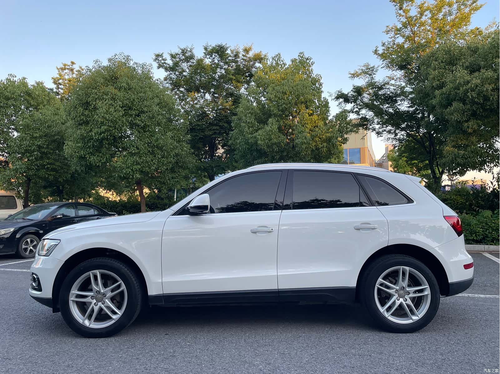 Audi Q5, 2017 все фото