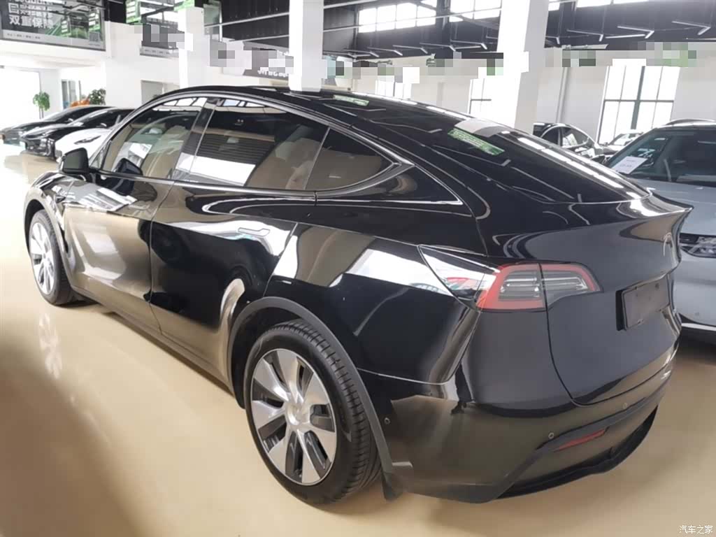 Tesla Model Y, 2023 все фото