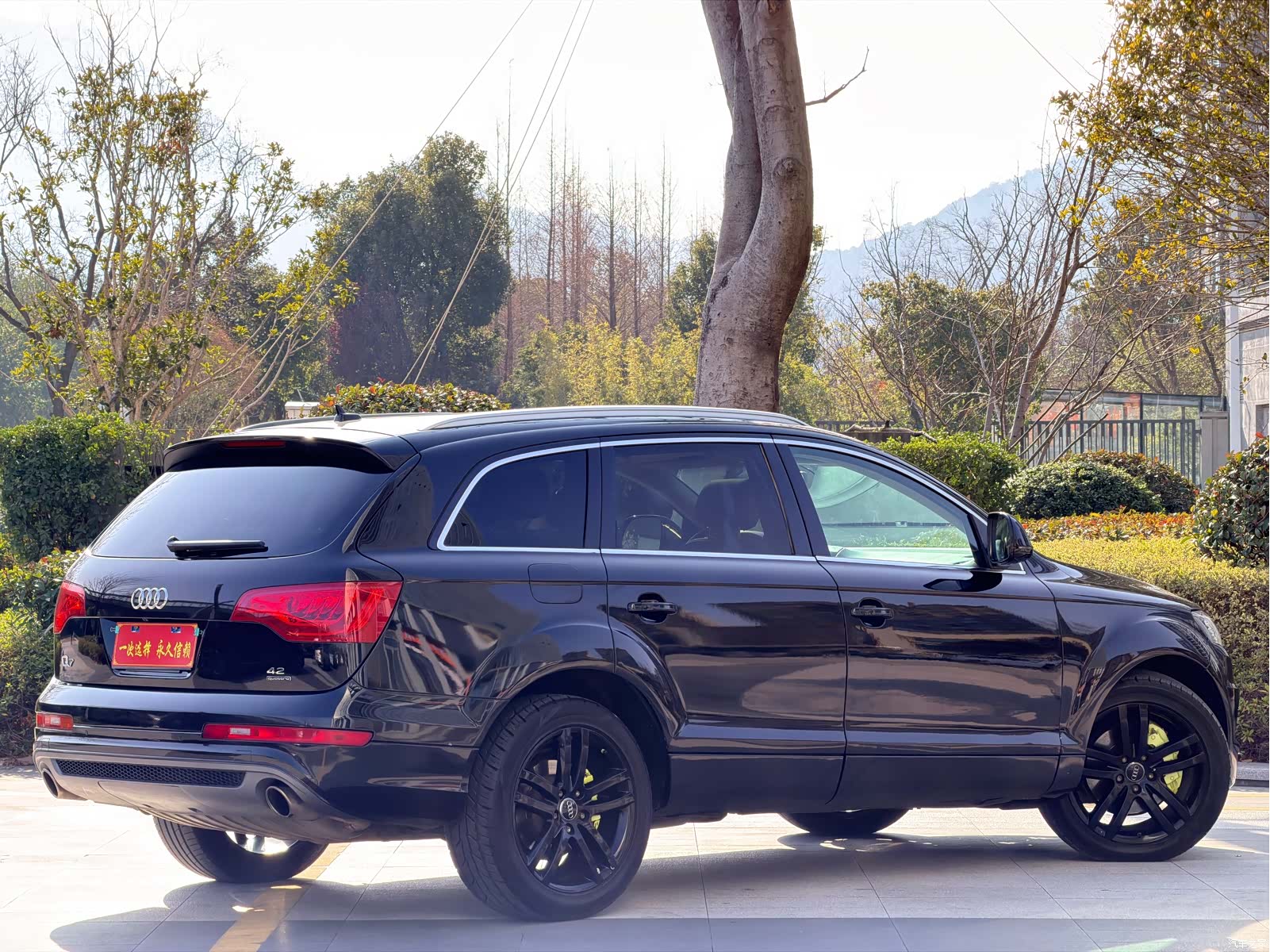Audi Q7, 2007 17
