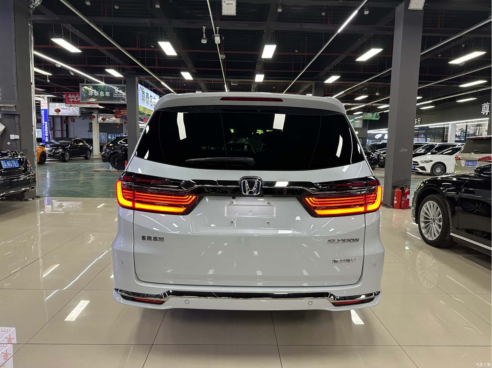 Honda Elysion, 2024 все фото