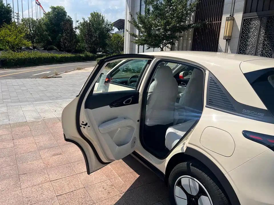 Geely Galaxy Star Wish