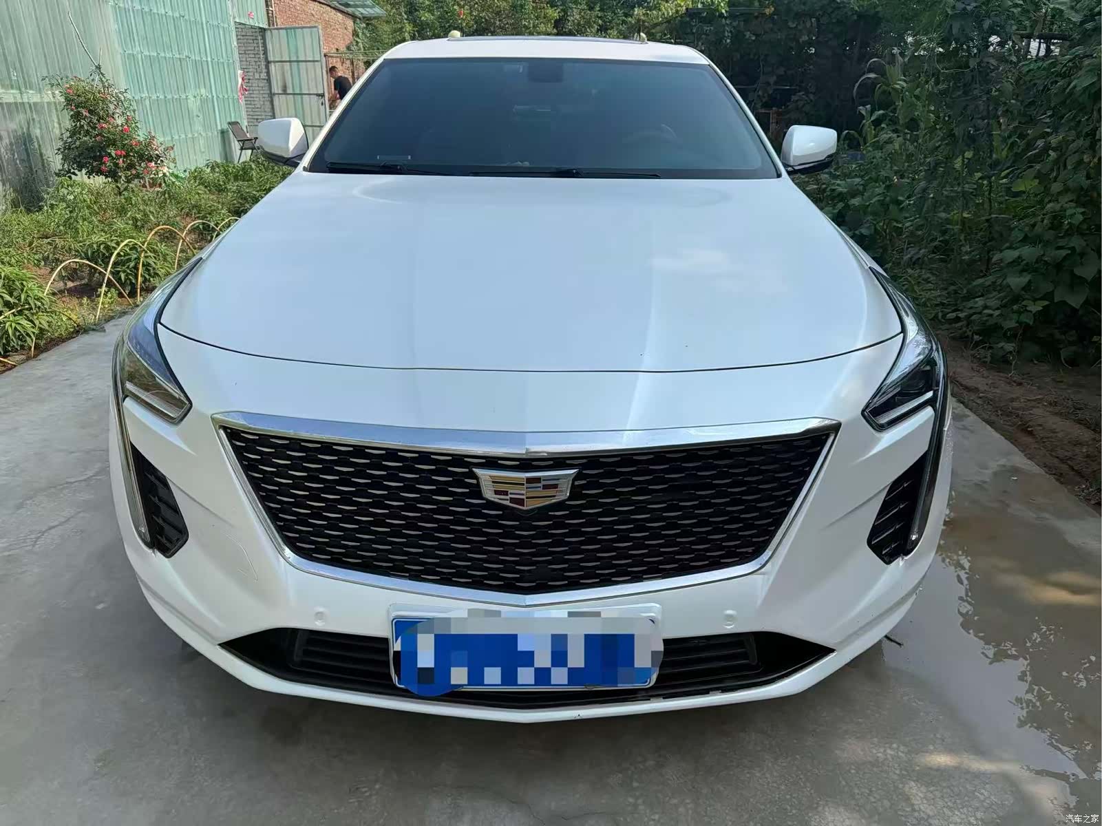 Cadillac CT6, 2020 2
