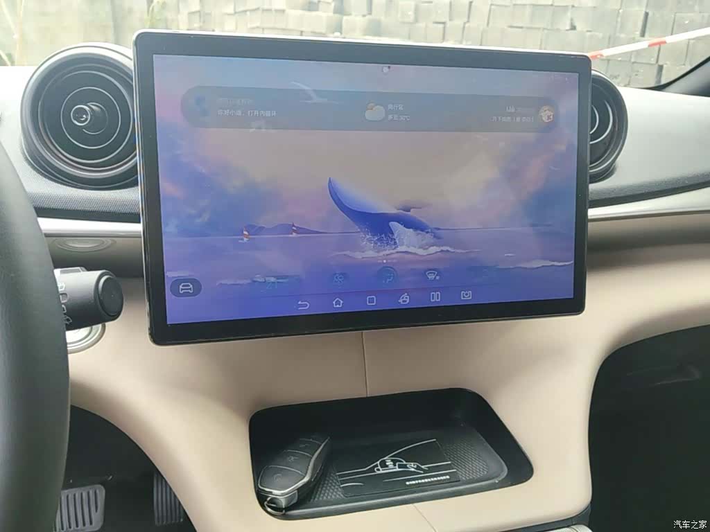 BYD Dolphin, 2023 13