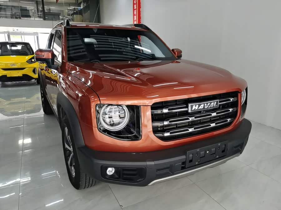 Haval Haval Dago 2021, фото 4