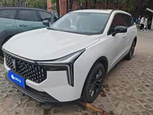 ����T55 2023�� 1.5T �Զ���Ծ��