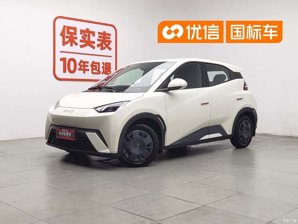 BYD Seagull