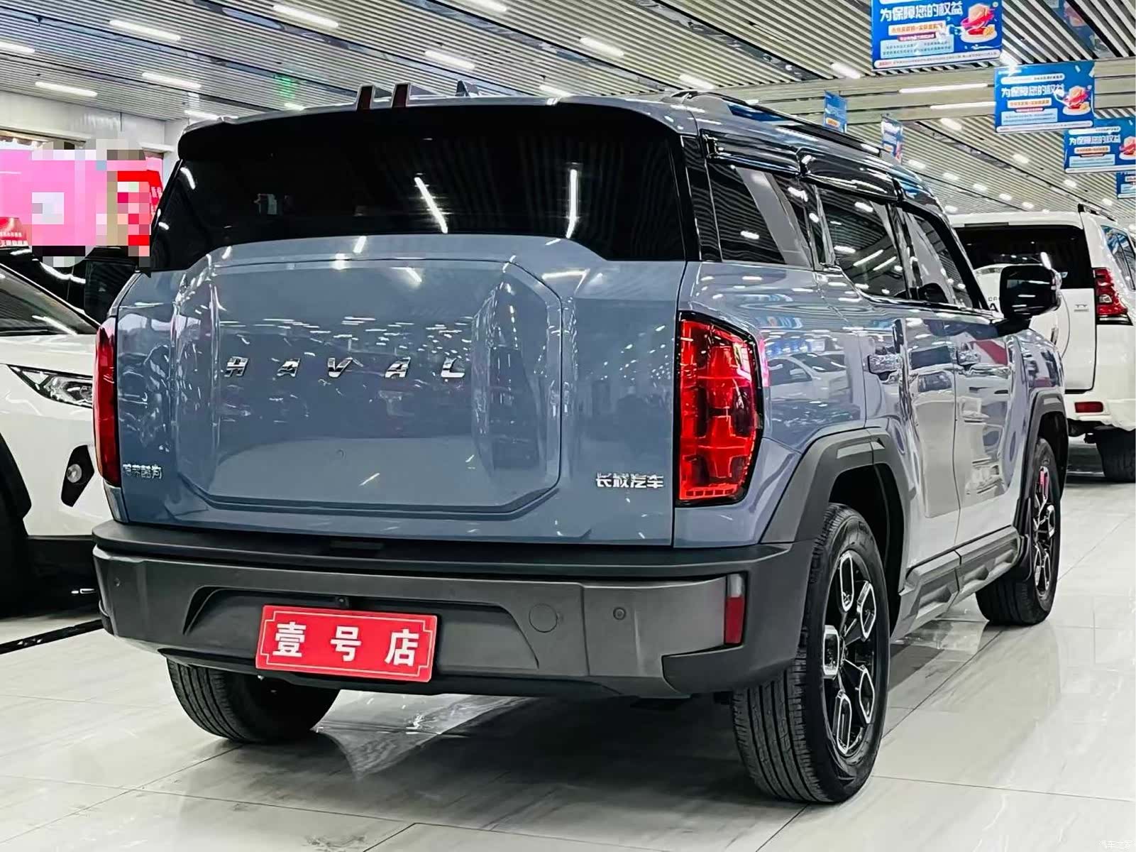 Haval Cool Dog, 2023 6