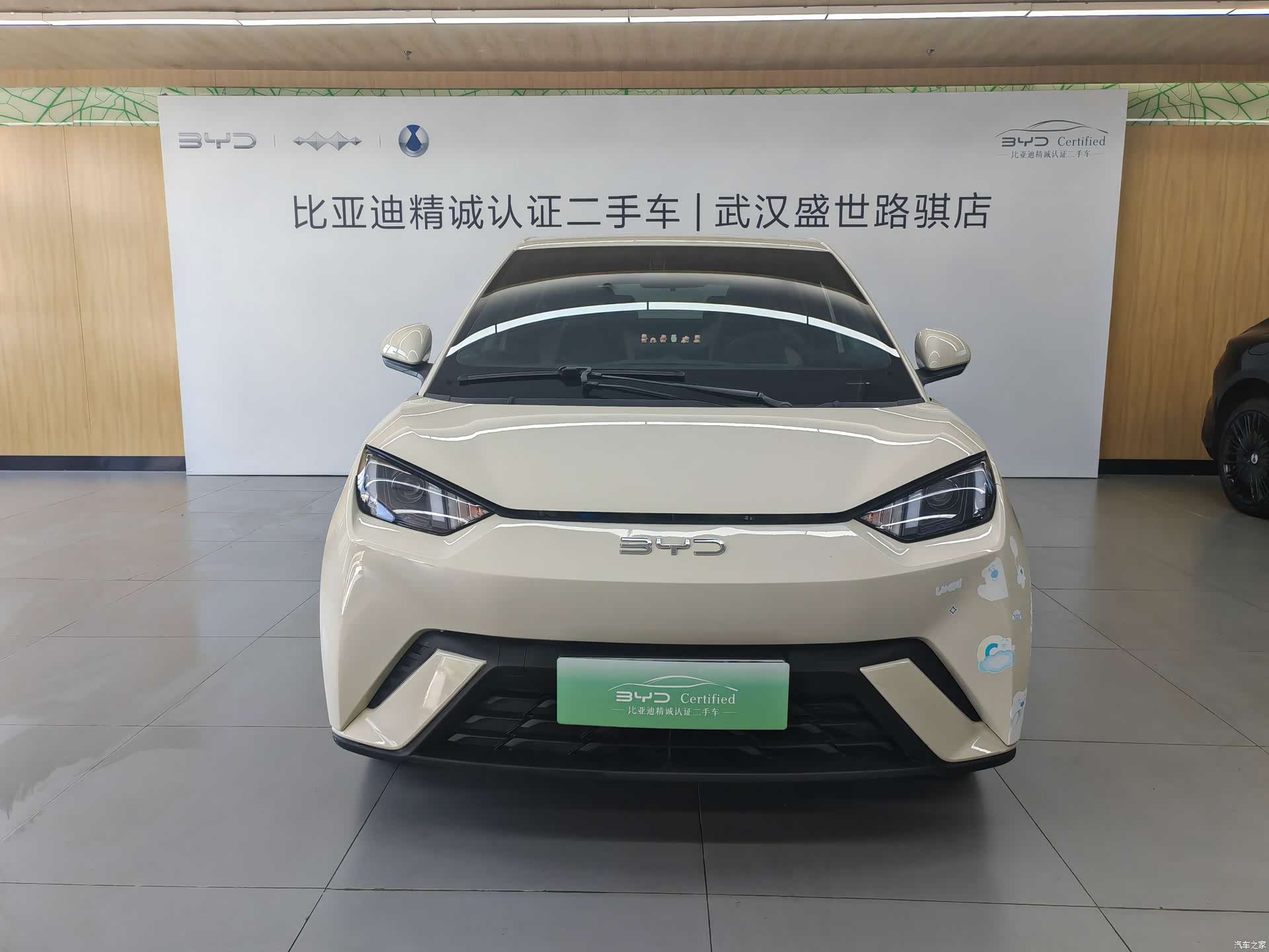 BYD Seagull, 2024 2