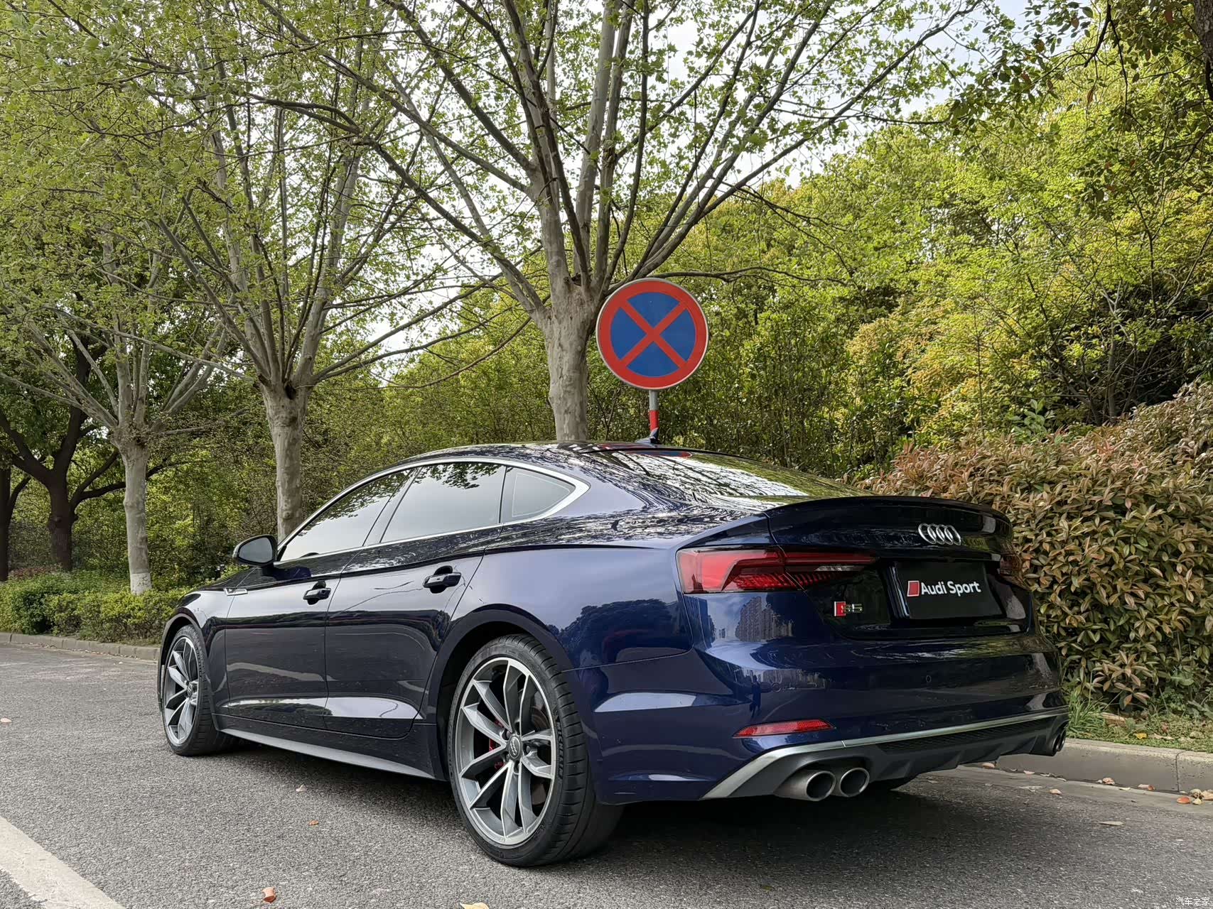 Audi S5, 2019 все фото
