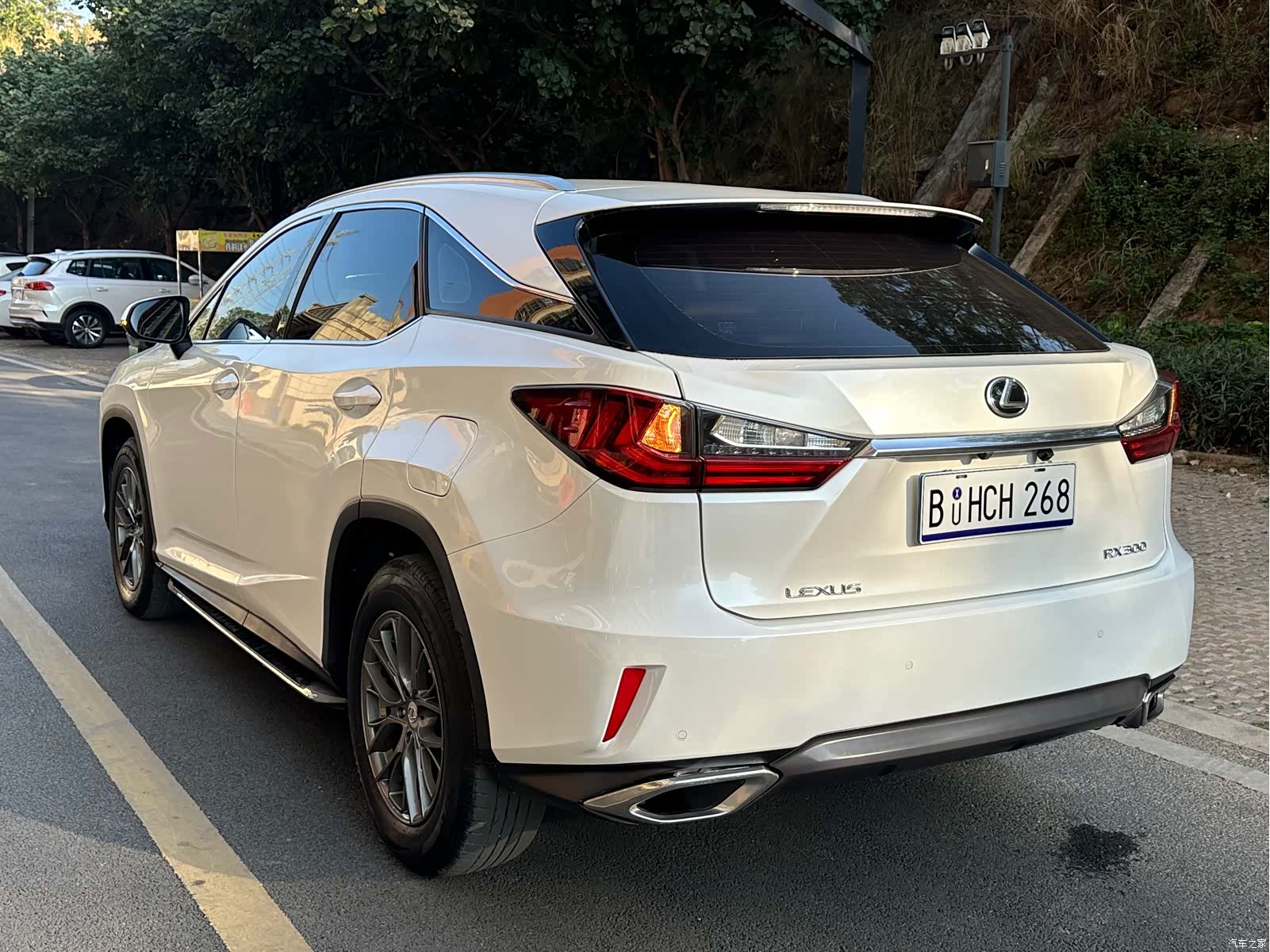 Lexus RX, 2017 6