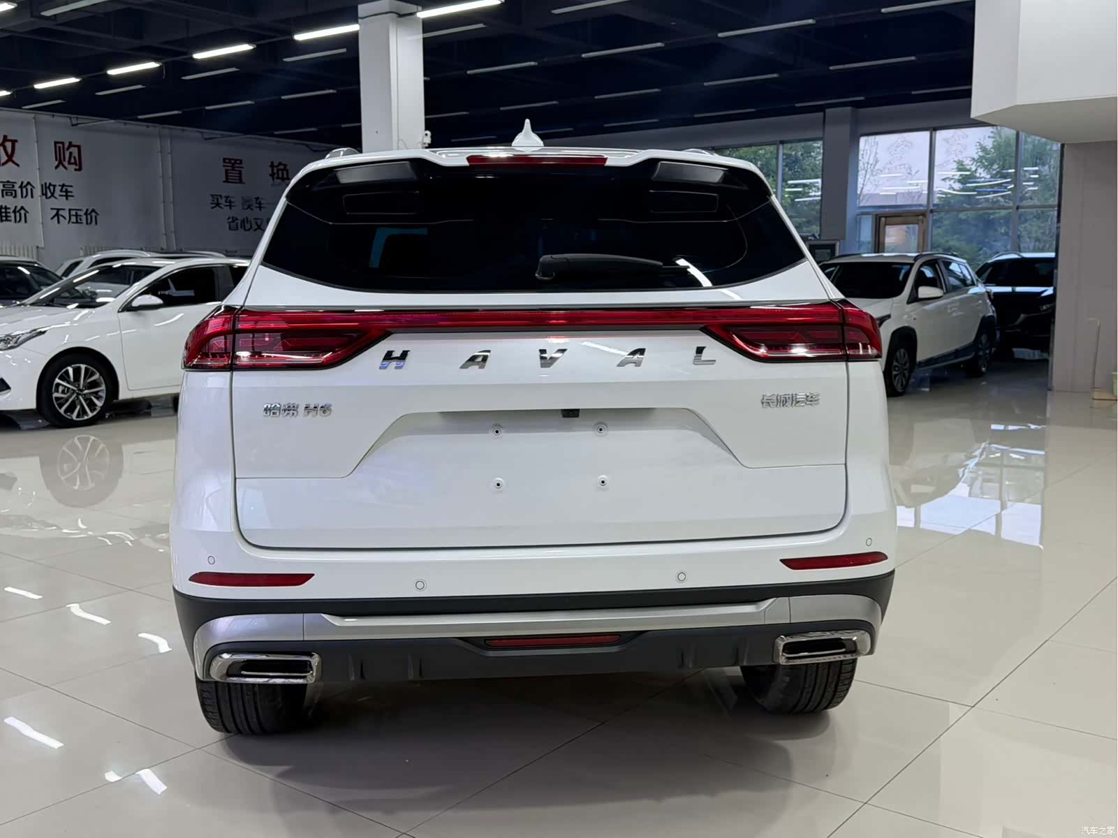 Haval H6, 2022 все фото
