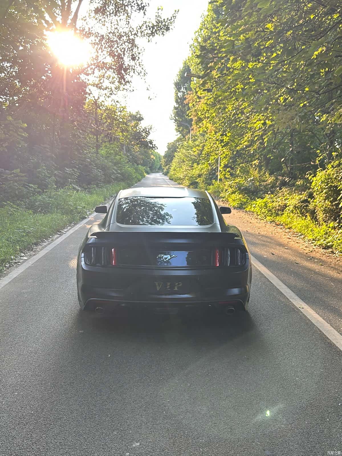 Ford Mustang, 2016 7