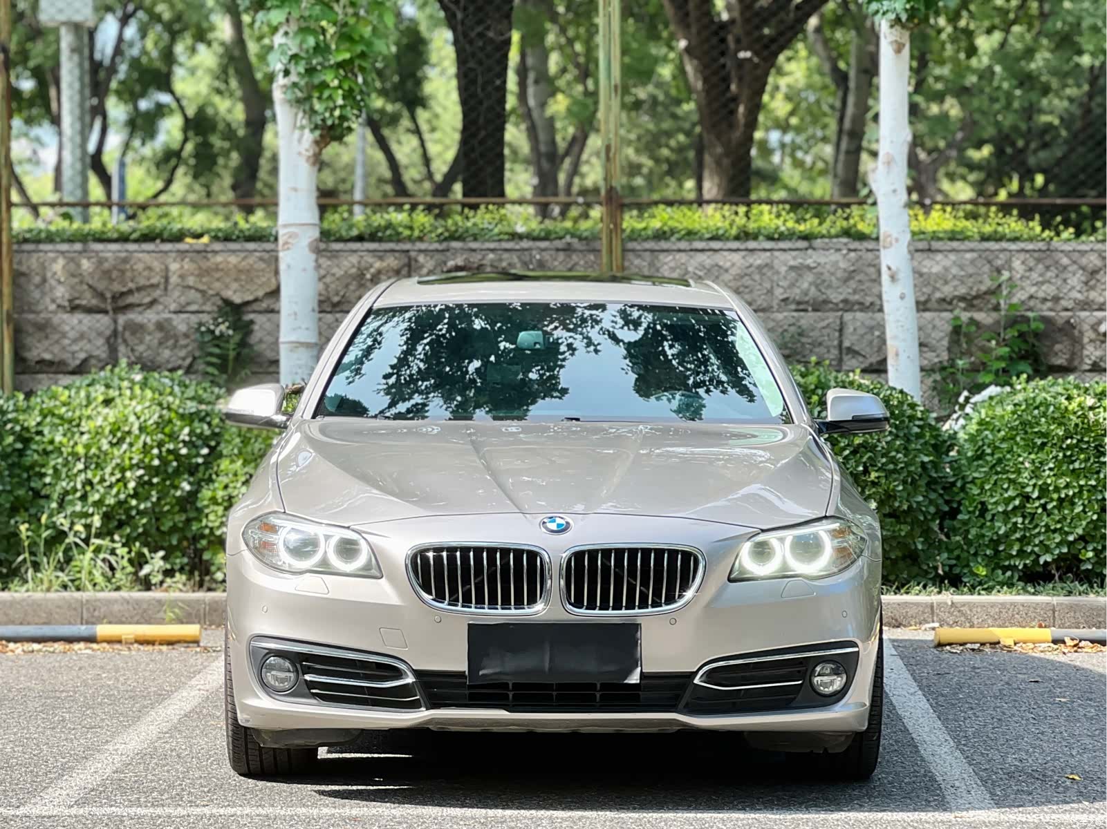 BMW 5 Series, 2016 2