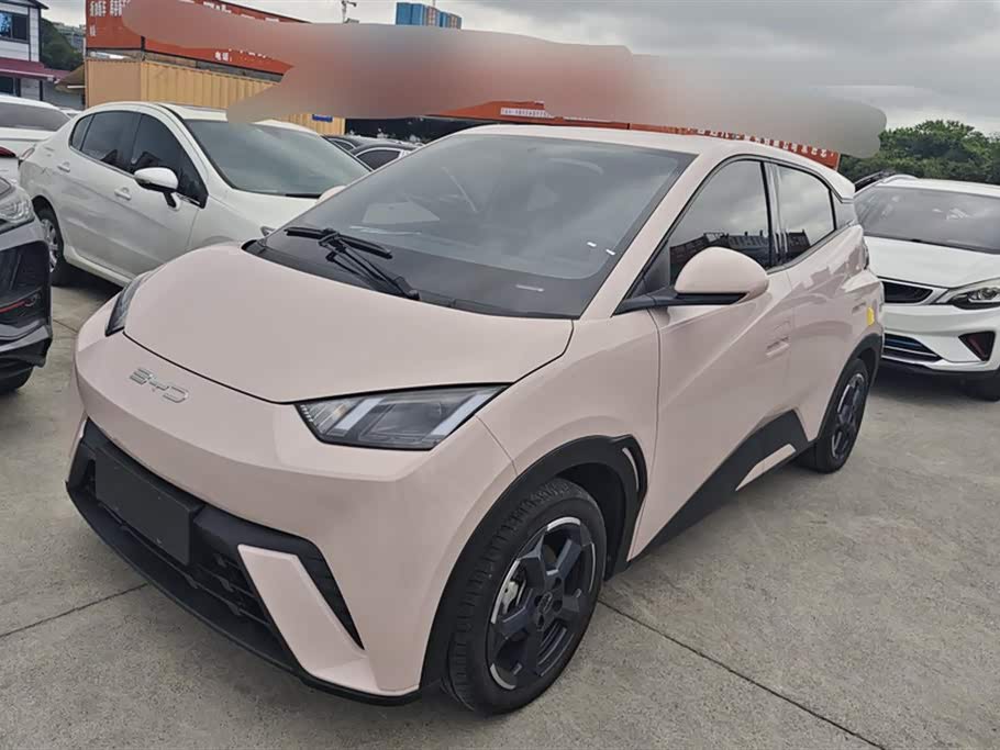 BYD Seagull