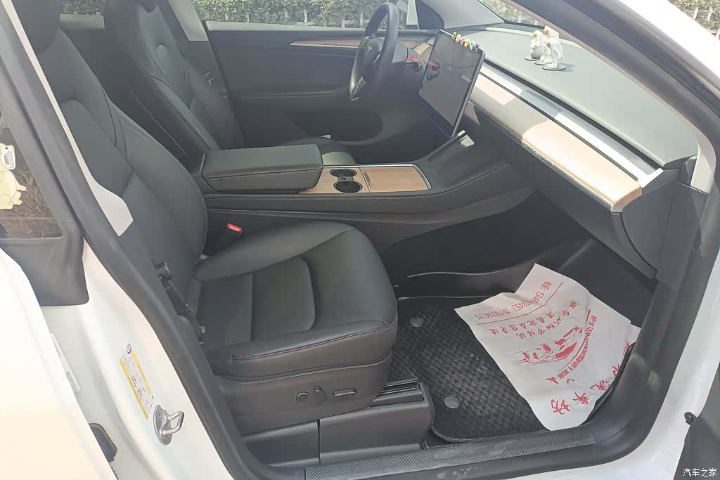 Tesla Model Y, 2021 8