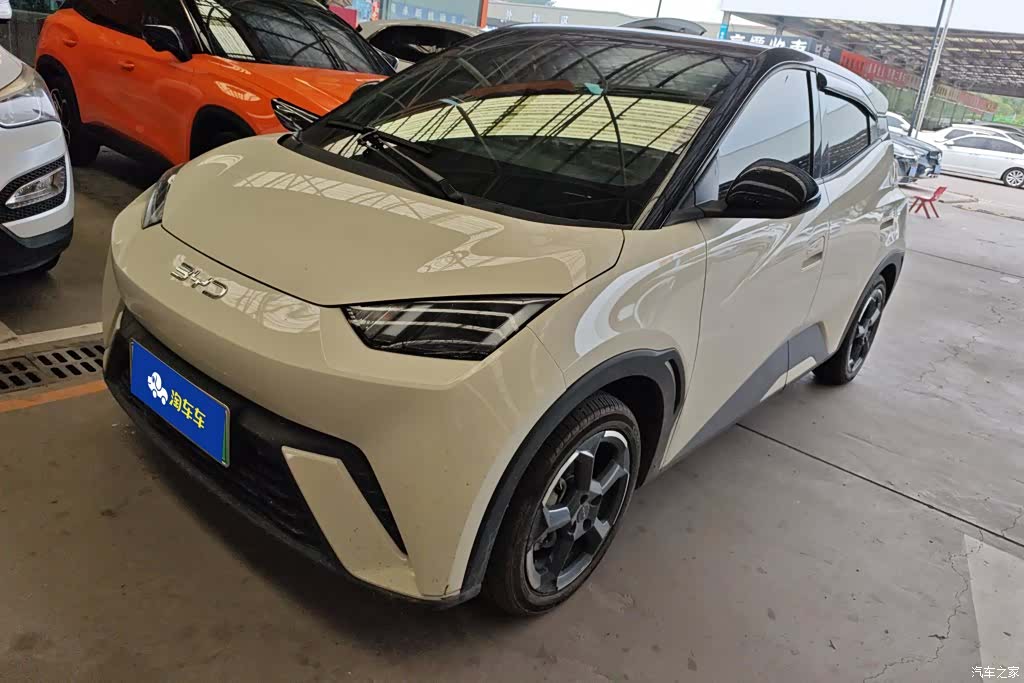 BYD Seagull, 2024 1