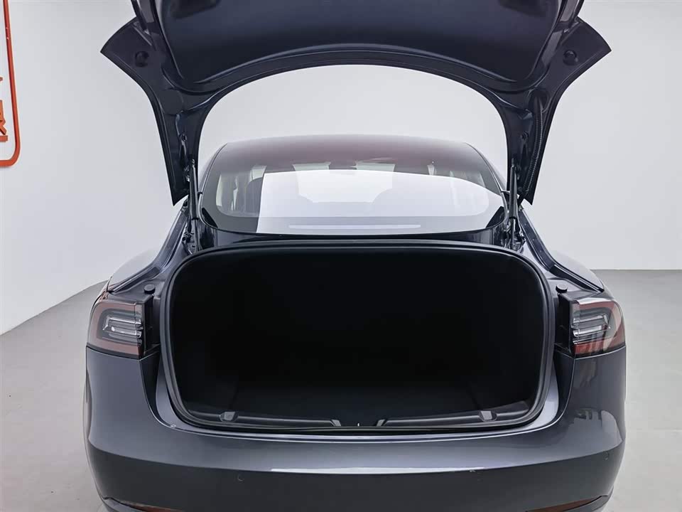 Tesla Model 3 Tesla Model 3