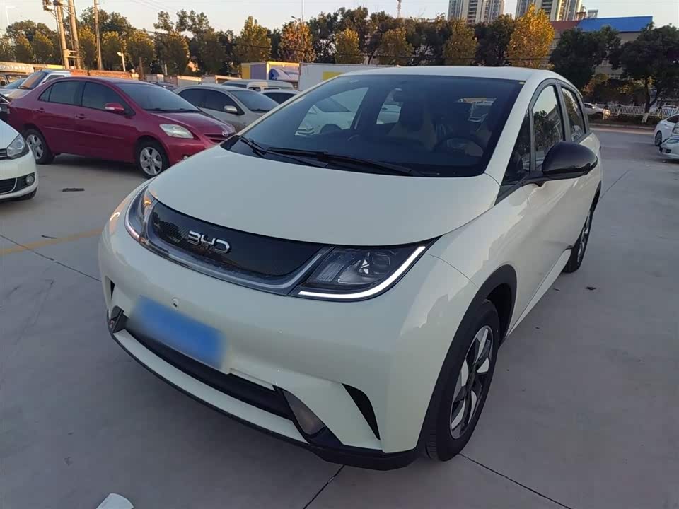 BYD dolphin