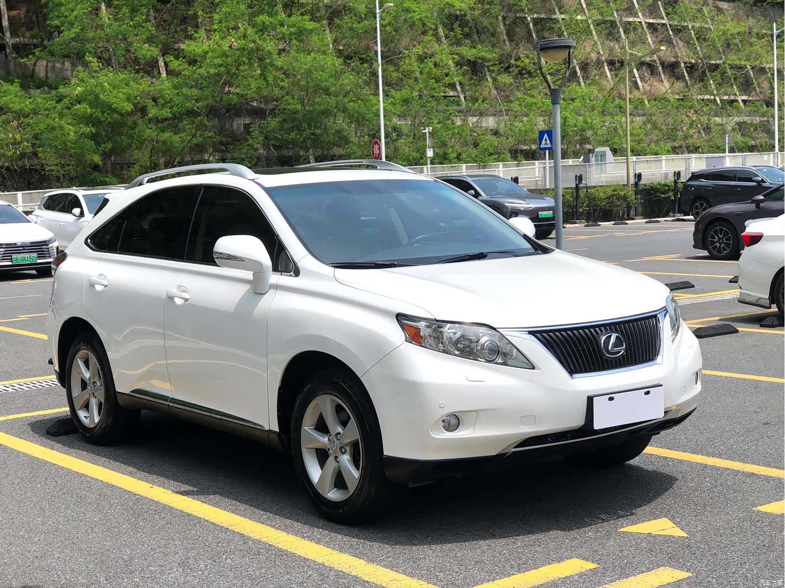 Lexus RX, 2013 3