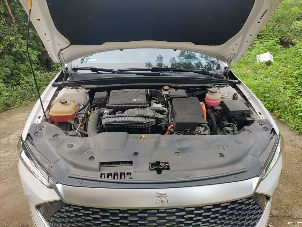 BYD Qin, 2021 11