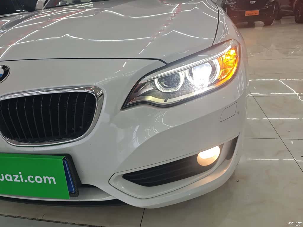 BMW 2 Series, 2016 24