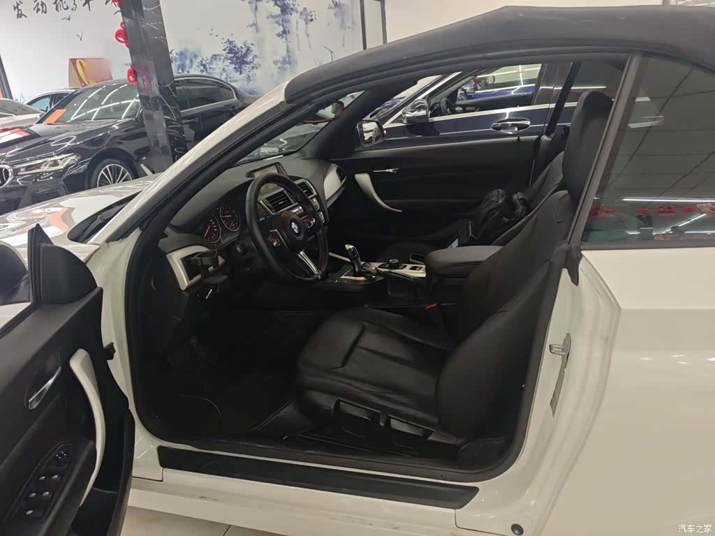 BMW 2 Series, 2016 15
