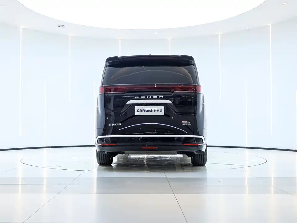 Denza D9