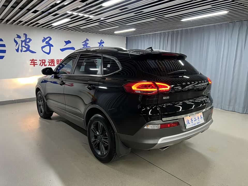 Leopaard Cheetah CS10