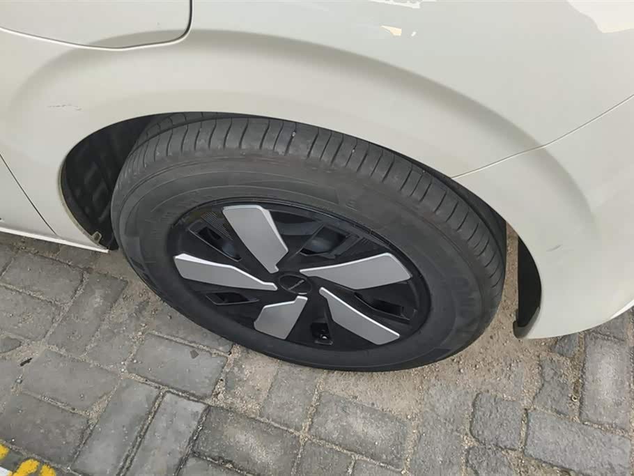 Dongfeng Nammi Nano 01