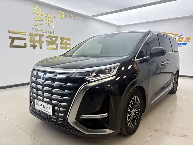 Denza D-9 2024 — купить из Китая под заказ