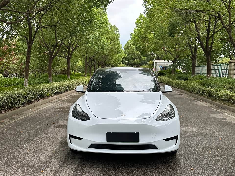 Tesla Model Y Tesla Model Y
