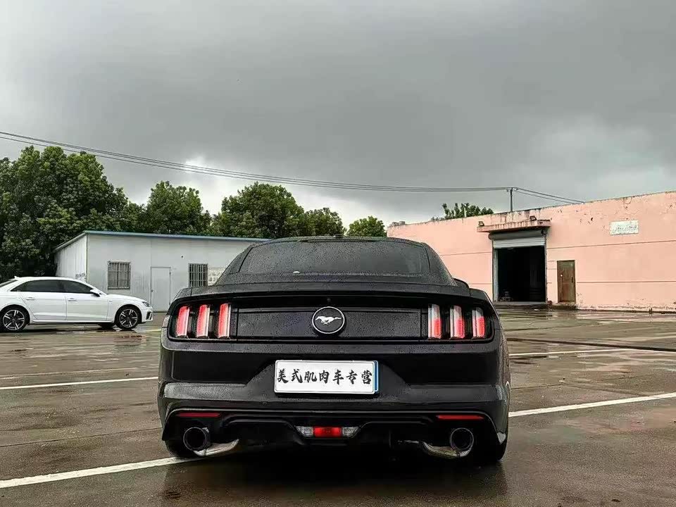 Ford Mustang Ford Mustang