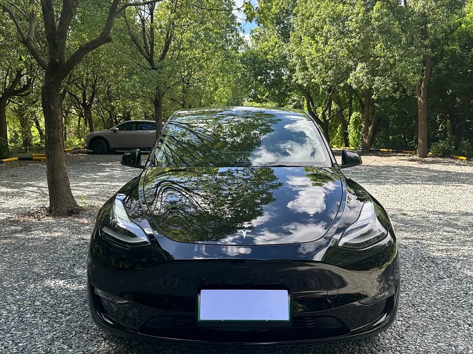 Tesla Model Y Tesla Model Y