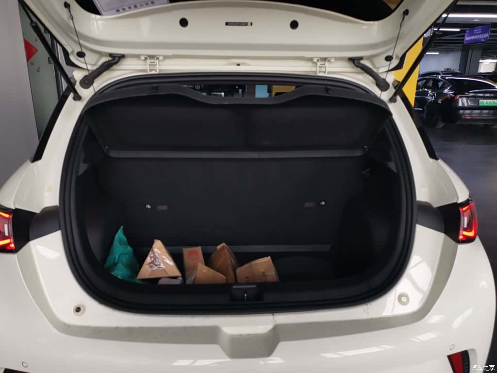BYD Dolphin, 2023 16