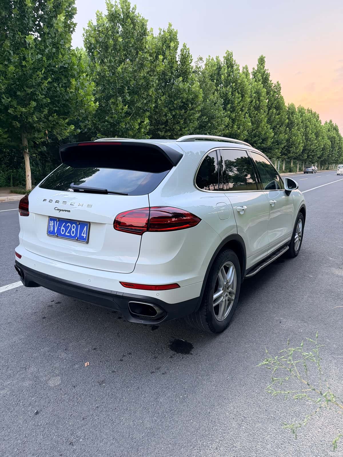 Porsche Cayenne, 2015 все фото