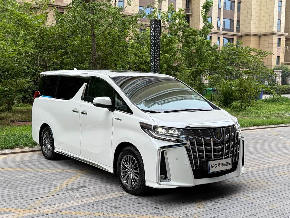Toyota Elfa
