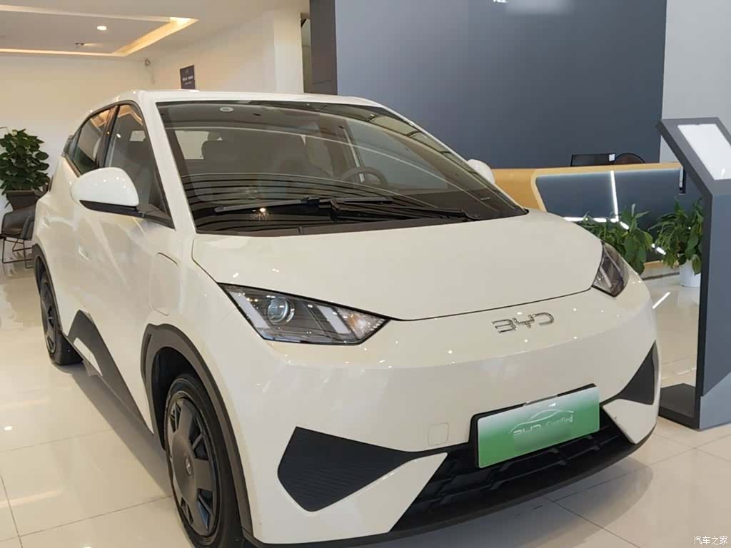 BYD Seagull, 2025 4