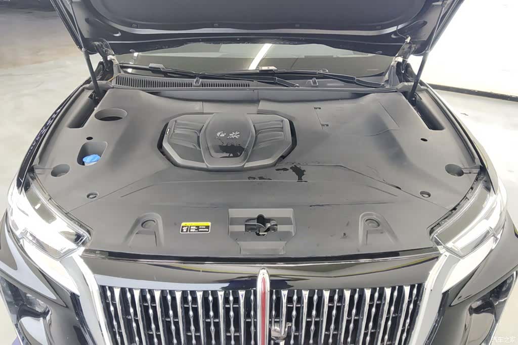 Hongqi HS5, 2023 10