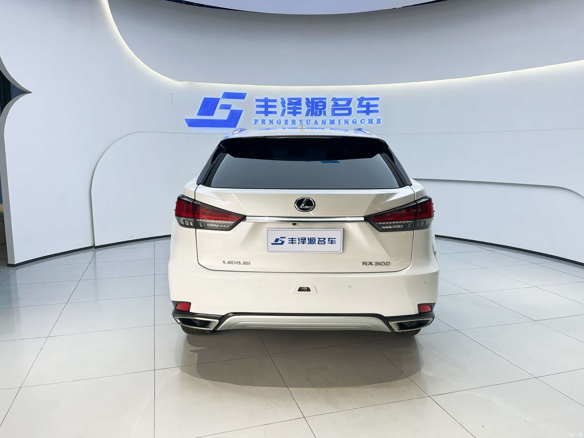 Lexus RX, 2022 все фото