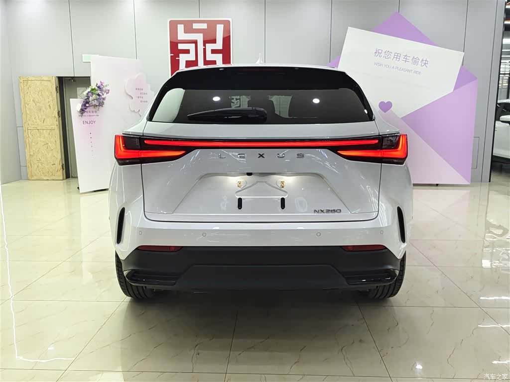 Lexus NX, 2023 все фото