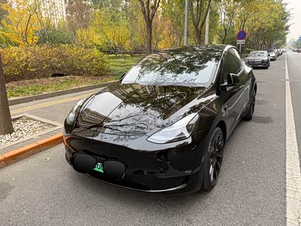 Model Y 2021 ȫ 3D7