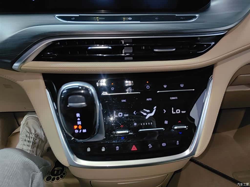 Buick GL8, 2021 13