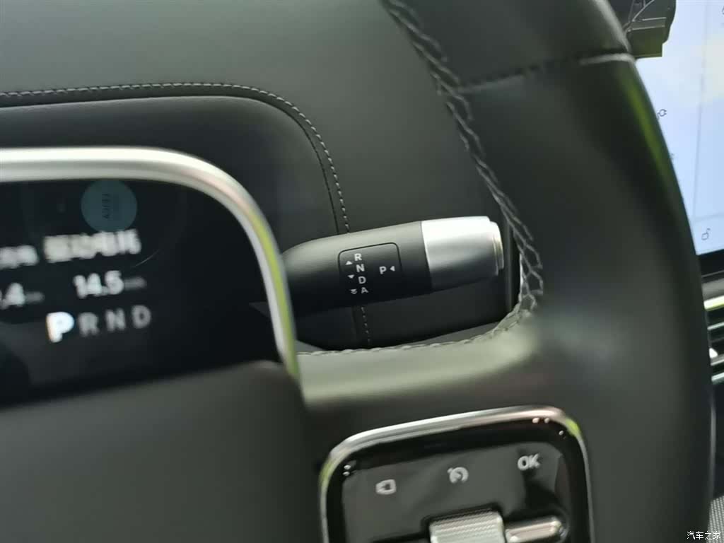 Li Auto L9, 2024 9