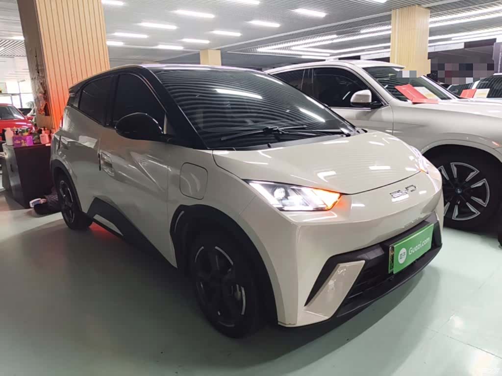 BYD Seagull, 2023 4
