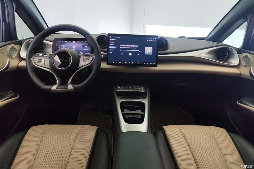 BYD Dolphin, 2025 12
