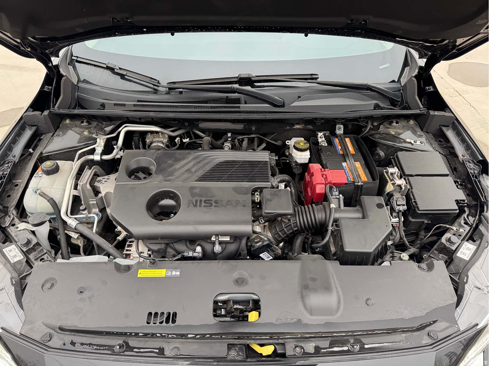Nissan Sylphy, 2024 11